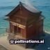 港剧网技术编辑林子轩，负责播放线路测试与用户体验优化